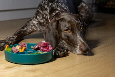 Fiboo Slow Fiboowl Spowalniacz jedzenia c.zielony