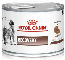 ROYAL CANIN Recovery Mousse 195g karma mokra dla psów
