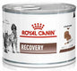 ROYAL CANIN Recovery Mousse 195g karma mokra dla psów