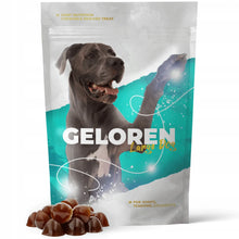 GELOREN Dog Large 420g żelki na stawy dla dużych psów 60 sztuk