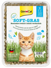 GIMCAT Soft Gras miękka trawa dla kotów w pojemniku 100g