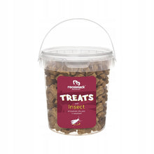 RECOSNACK treats insect przysmaki z owadami 200 g