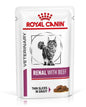 Royal Canin Veterinary Diet Renal Beef Niewydolność Nerek Wołowina dla Kota 85 g