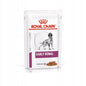 ROYAL CANIN Early renal dla psa 100g wsparcie pracy nerek