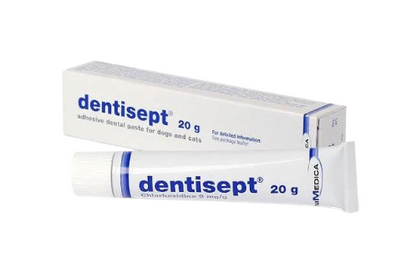 Animedica Dentisept Pasta Do Zębów Dla Psów i Kotów 20 g