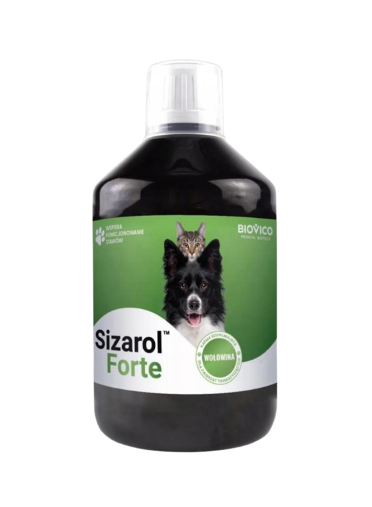 BIOVICO Sizarol Complex Forte 250ml na stawy