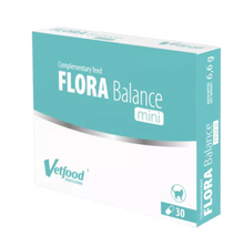 Vetfood Flora Balance Mini Wspiera Prace Przewodu Pokarmowego Dla  Kotów 30 Kapsułek