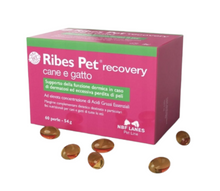 ILOVET Ribes Pet cane e gatto 60 kapsułek