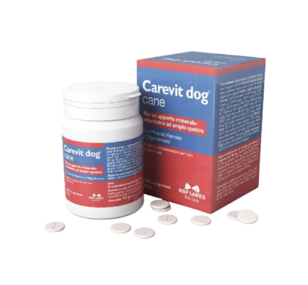 ILOVET Carevit Dog cane 100 tabletek