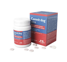 ILOVET Carevit Dog cane 100 tabletek