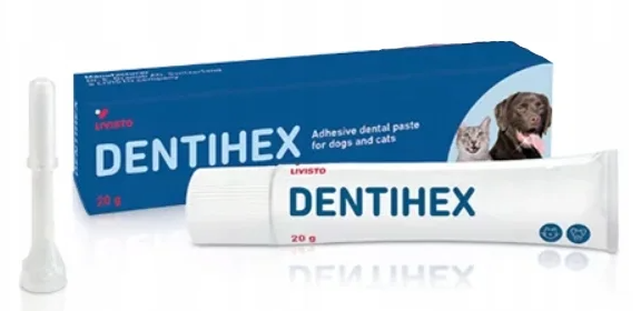 DENTIHEX Adhezyjna pasta do zębów dla psów i kotów 20g