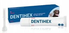 DENTIHEX Adhezyjna pasta do zębów dla psów i kotów 20g