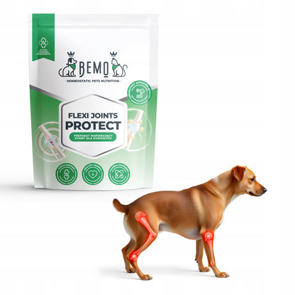 BEMO Mieszanka Flexi Joints Protect 500g