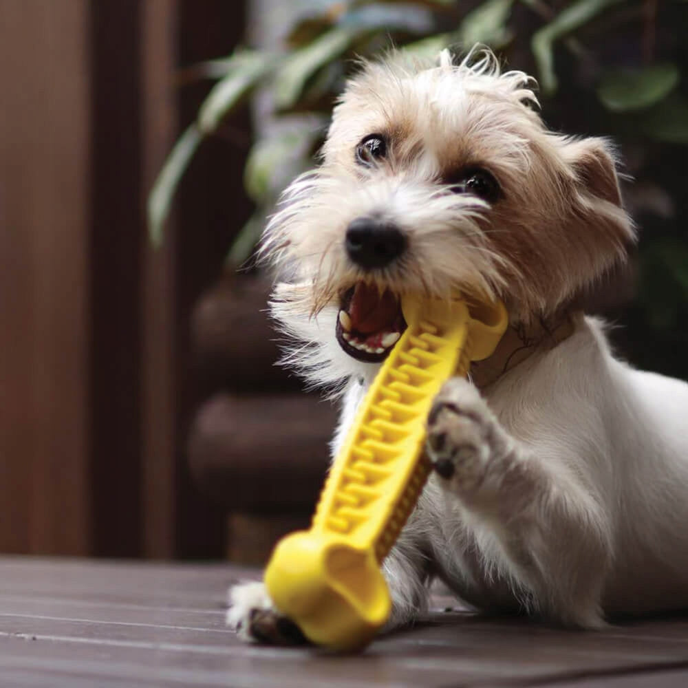 Fiboo Fiboone Dental Monster zielony