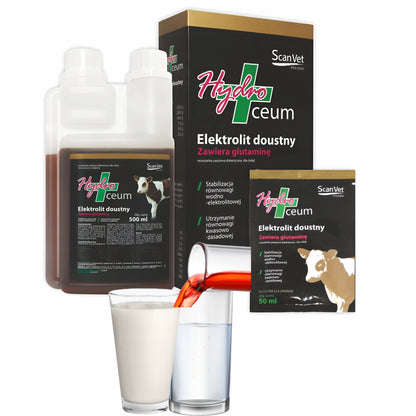 SCANVET Hydroceum 500ml Elektrolit doustny dla cieląt