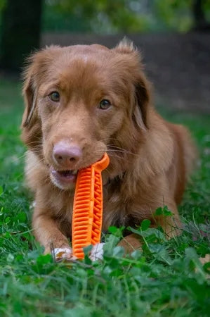 Fiboo Fiboone Dental pomarańczowy