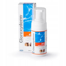 GEULINCX clorexyderm foam 4 % 100 ml