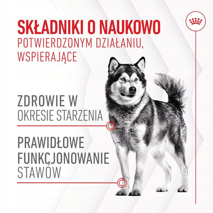 ROYAL CANIN Joint & Ageing Adult Dog Supplements 240g Przysmak dla psa