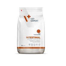 VET EXPERT 4t VD Intestinal Cat 2kg