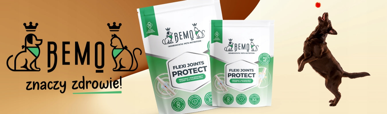 BEMO Mieszanka Flexi Joints Protect 500g