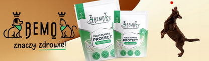 BEMO Mieszanka Flexi Joints Protect 500g
