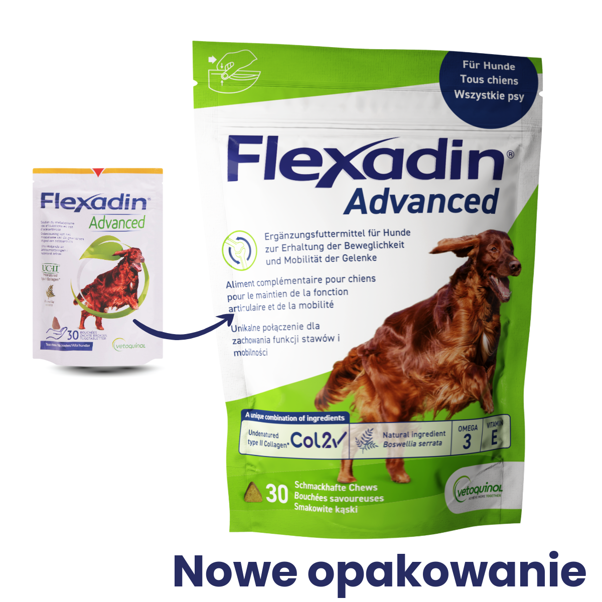Vetoquinol Flexadin Advanced Na Stawy Dla Psów 30 Tabletek