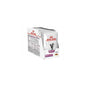 ROYAL CANIN cat renal chicken 12x85g saszetka