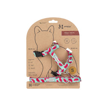 Amiplay Szelki+Smycz Dla Kota Watermelon Rozmiar S