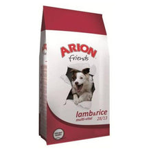 Arion Friends Lamb & Rice Multi-Vital Jagnięcina & Ryż Karma Dla Psa 15 kg
