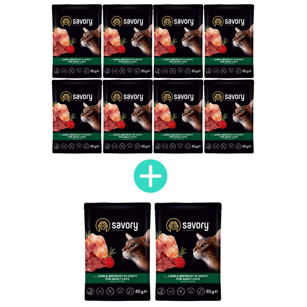 Pakiet Savory Cat Adult Lamb&Beetrot Gravy Karma Mokra Dla Dorosłych Kotów Jagnięcina i Burak w Sosie 8 x 85 g + 2 Saszetki GRATIS!