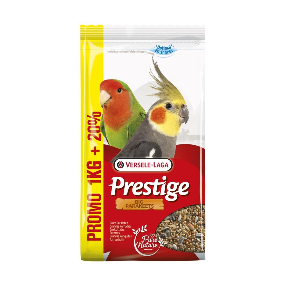 Versele Laga Big Parakeets Mieszanka Ziarnowa Dla Średnich i Dużych Papug 1 kg + 200 g