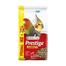 Versele Laga Big Parakeets Mieszanka Ziarnowa Dla Średnich i Dużych Papug 1 kg + 200 g