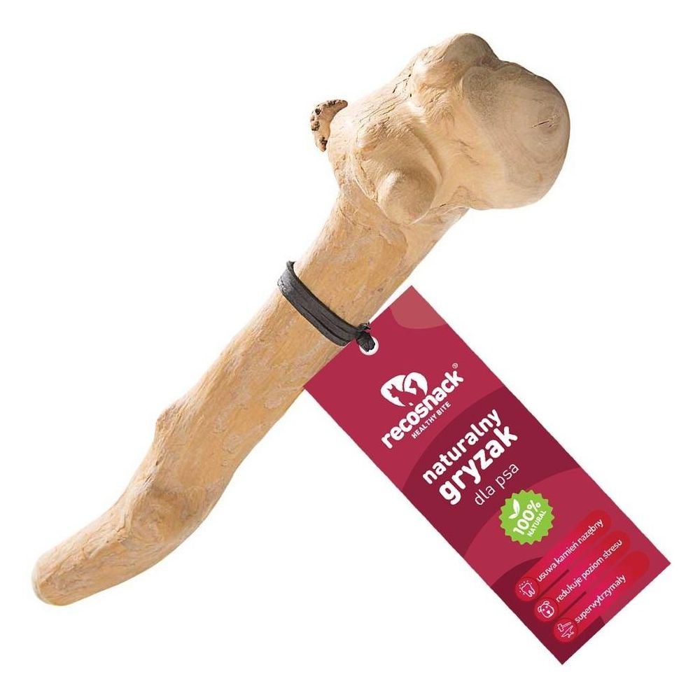 RECOSNACK patyk z drzewa kawowego gryzak dental xs