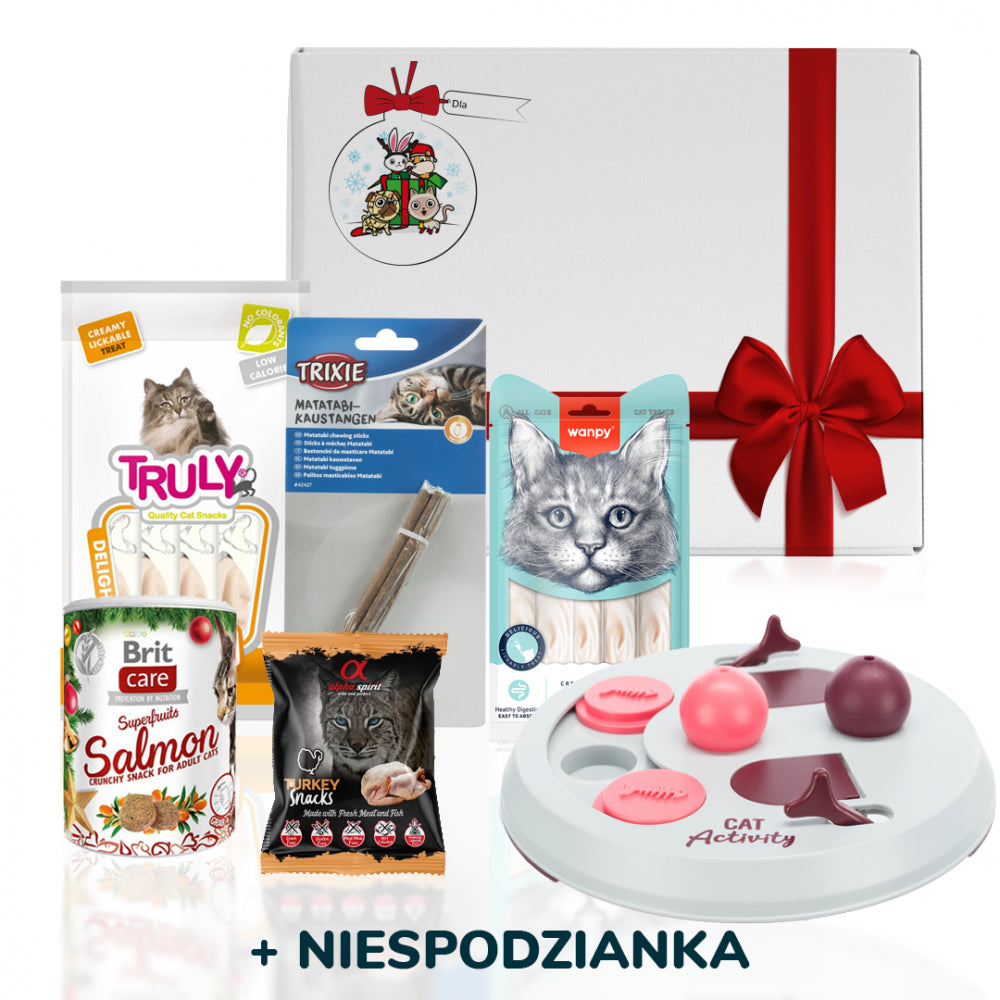 Prezent Gwiazdkowy Dla Kotów Premium