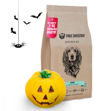 Pakiet Paka Zwierzaka Bezzbożowa Karma Dla Psa Łosoś i Słodkie Ziemniaki 2 kg + Zabawka GRATIS!