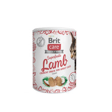 Brit Care Cat Snack Superfruits Jagnięcina  Przysmak Dla Kotów 100 g