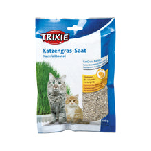 Trixie Trawa Dla Kota z Pojemnikiem 100 g