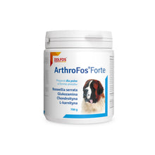 Dolfos ArthroFos Forte 700 g