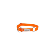 Amiplay Obroża półzaciskowa Samba XL Pomarańczowy