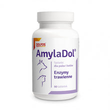 Dolfos AmylaDol 90 Tabletek