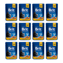 Pakiet Brit Premium Salmon & Trout Łosoś Pstrąg Mokra Karma Dla Kota 12 x 100 g