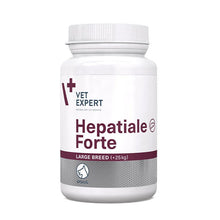 VetExpert Hepatiale Forte Large Breed Preparat Wspomagający Funkcje Wątroby Dla  Psów Dużych Ras 40 tabletek