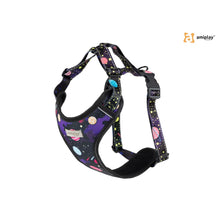 Amiplay Szelki Regulowane BeSpace Discovery Rozmiar XXL Milkyway