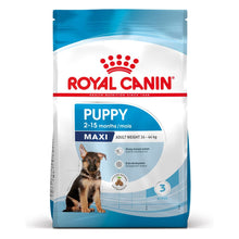ROYAL CANIN Maxi Puppy Karma Sucha Dla Szczeniąt Od 2 Do 15 Miesiąca Życia Ras Dużych 4 kg