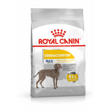 ROYAL CANIN CCN Maxi Dermacomfort karma sucha dla psów dorosłych, ras dużych, o wrażliwej skórze, skłonnej do podrażnień 3 kg