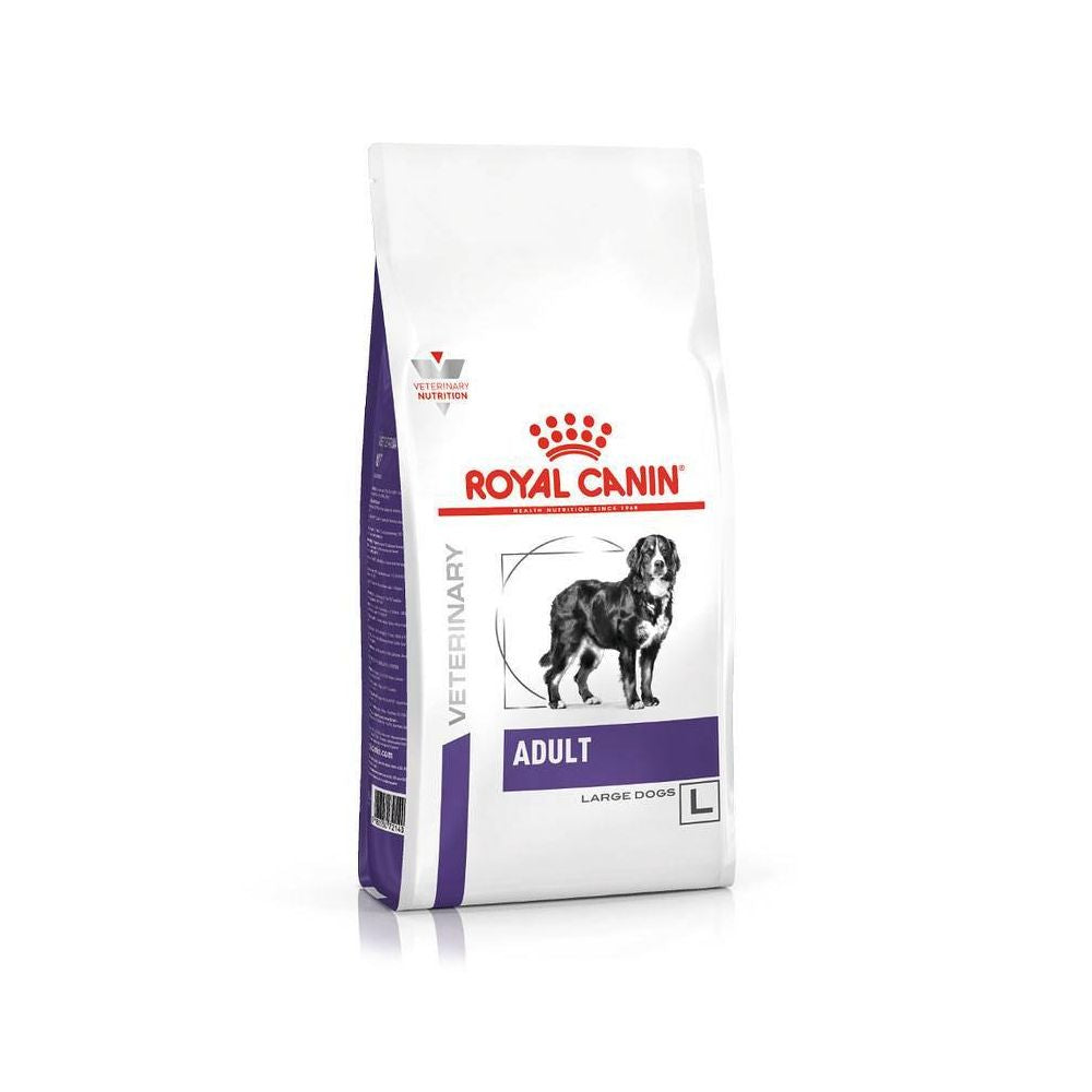 ROYAL CANIN Dog Adult Large 13kg karma sucha dla psów