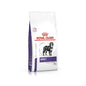 ROYAL CANIN Dog Adult Large 13kg karma sucha dla psów