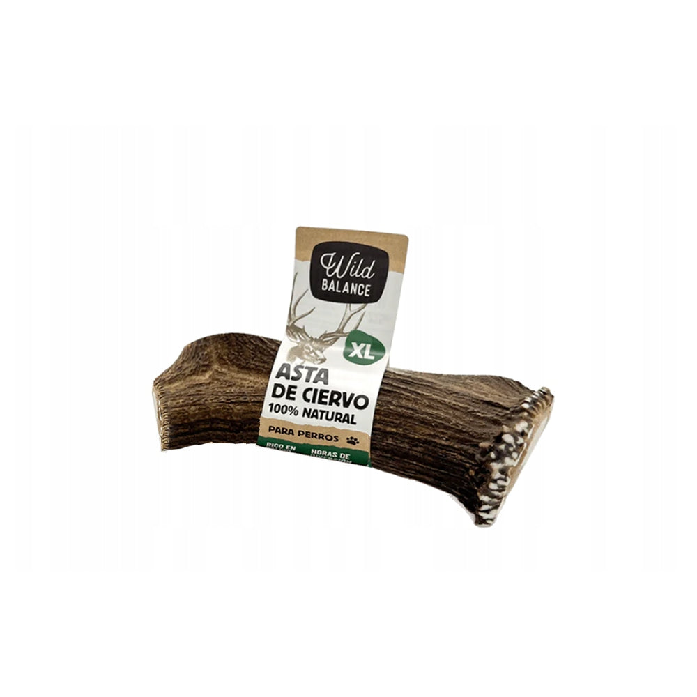 Wild Balance Gryzak Dla Psa Poroże Jelenia Rozmiar XL 151-225 g
