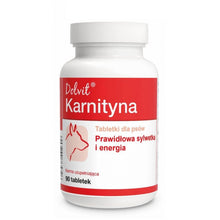 Dolvit Karnityna 90 Tabletek