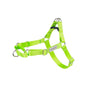 Amiplay Szelki Easy Go Samba Rozmiar XL Zielone